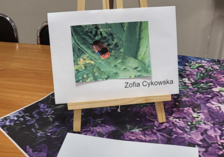 „Świat owadów w środowisku lokalnym” (2025)