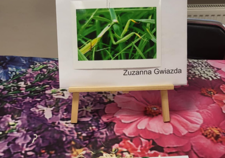 3 Laureat konkursu 1