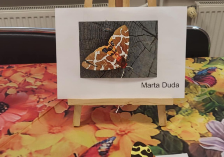 5 Laureat konkursu 3