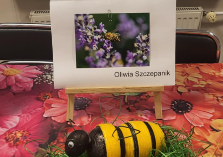 6 Laureat konkursu 4