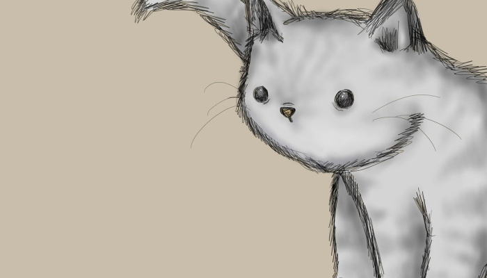 Światowy Dzień Kota w bibliotece - relacja z wydarzenia online