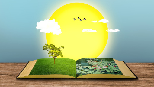 Oferta wakacyjna biblioteki
