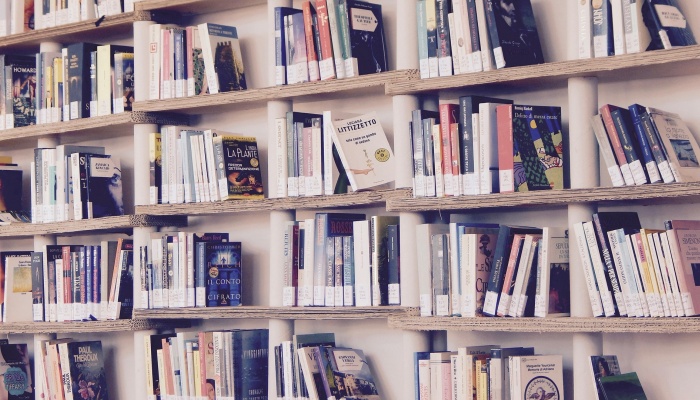 Biblioterapia w procesie umacniania dobrostanu psychofizycznego ucznia i nauczyciela (2023)