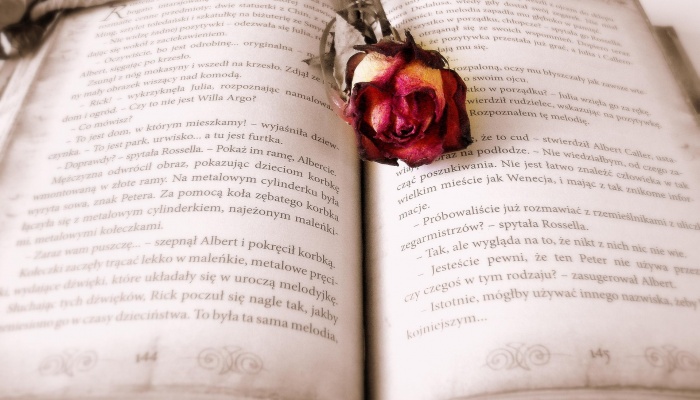 Książka na receptę – literatura biblioterapeutyczna w pracy nauczyciela (2024)