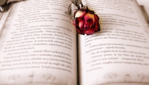 Książka na receptę – literatura biblioterapeutyczna w pracy nauczyciela (2024)