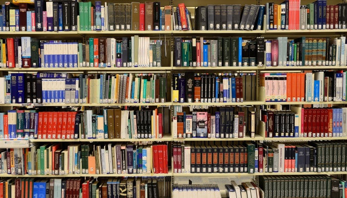 Biblioteki szkolne i pedagogiczne a wyzwania społeczeństwa informacyjnego (2023)